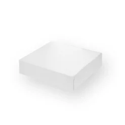 Patisdecor Support, Transport^Boîte à gâteaux blanche 20 x 20 x 5 cm -