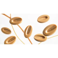Valrhona Chocolat^Chocolat à pâtisser blond Dulcey 32% 1 kg -