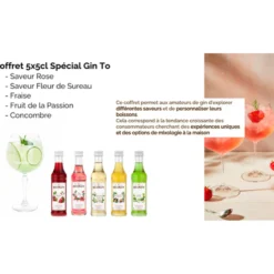 Monin Sirops|Sirops Monin^Coffret sirops Gin Tonic 5x50 ml -