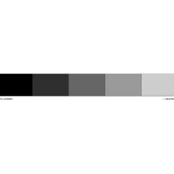 Colour Mill Colorants Alimentaires^Colorant liposoluble Noir 20 ml -