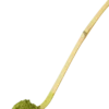 Aromandise Thés Et Infusions|Accessoires Boisson^Cuillère à thé matcha Chashaku -
