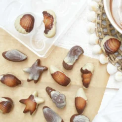 Scrapcooking Moule À Chocolat^Moule à chocolat en plastique rigide 20 empreintes Fritures